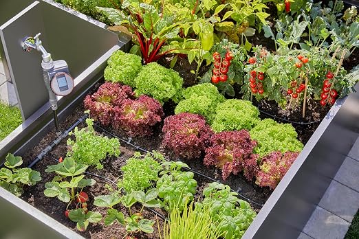 Drip irrigation (Tropfbewässerung)